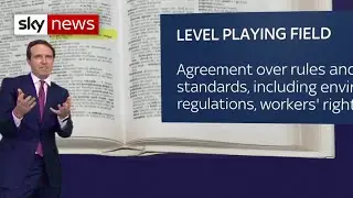 Brexit Explained: What are the sticking points and why do they matter?