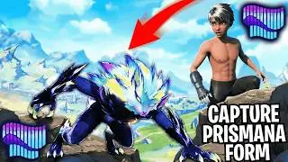 Как поймать форму PRISMANA Blazen в Aniimo