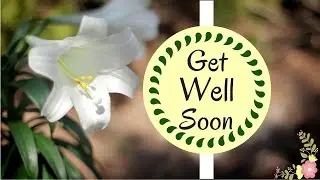 Best Get Well Soon Wishes | Brilliant Uplifting Quotes