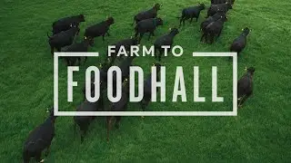 100% Traceable M&S Beef | Farm to Foodhall | M&S FOOD