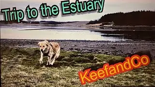 Trip to the Estuary ~ NE250 ~ KeefandCo