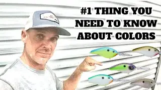 The #1 Thing You Need To Know About  COLORS (Crankbaits)