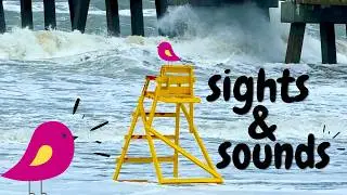 Nor'Easter & King Tide in Jacksonville Beach, Florida 10.10.25