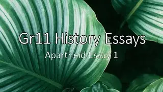 Apartheid Essay 1