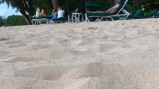 A little drama behind the Coral Reef Hotel in Barbados.