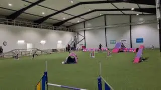 Adventskampen - Agility 2A - Daniel och Vilgot 