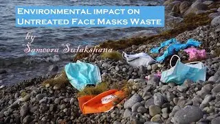 Environmental impact on untreated Face Masks Waste