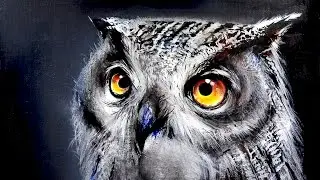Art : Painting an Owl