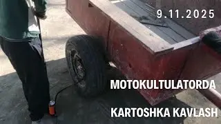 MOTOKULTULATORDA KARTOSHKA KAVLASH DAVOMI BOR.... 