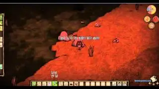 Don't starve with Mental Gen and Madscience kid, Ep1#: Insanity