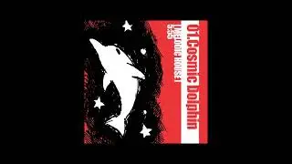 megawolf77 - Cosmic Dolphin