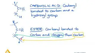 Functional Groups