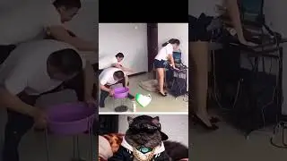 This video hits your brain 😂 #shortvideo #funny #shorts #trend #trending #cat