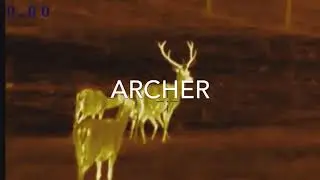 #ARCHER #thermalimaging #hunting #hunt #bglovec #bglov #Blaser #hornady