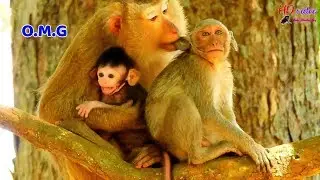 Poor baby Jayden cries hungry milk too much, Bonita kidnapped long time | Junila so sad pity Jayden