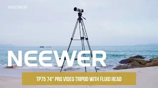 Introducing the Neewer TP75 74