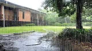 Enjoy the Natural Sound of Rain to Relieve Tinnitus and Insomnia. White Noise Promotes Peace of Mind