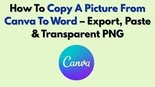 Как скопировать изображение из Canva в Word &mdash; экспорт, вставка и прозрачный PNG