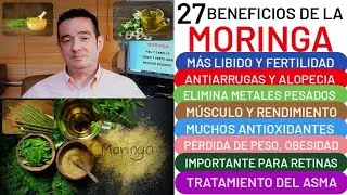 27 BENEFICIOS de🌿MORINGA🌿LIBIDO❤️ FERTILIDAD💪ANTIARRUGAS🙆ALOPECIA😱OBESIDAD👏ASMA😱OJOS👀HUESOS🦴M&Uacute;SCULO💪