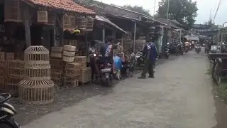 PASAR BURUNG BANJARAN. YANG BARU .KOTA TEGAL
