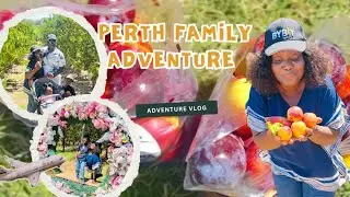 NECTARINE PICKING FUN | FAMILY ADVENTURE  AT S&R ORCHARD PERTH, AUSTRALIA