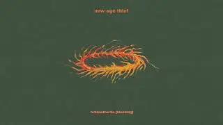 New Age Thief - 