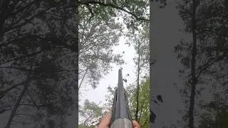 Chasse &agrave; la palombe ! 3 jolies tirs avec le SX4!🐦🎥 #chasse #winchester #sx4 #hunting #palombe