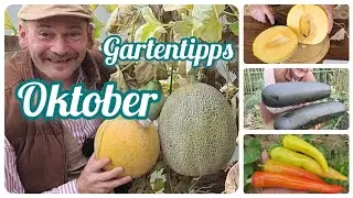 Riesige Zuckermelonen 🍈 aromatische Paprika 🌶️ und lagerfähige Zucchini