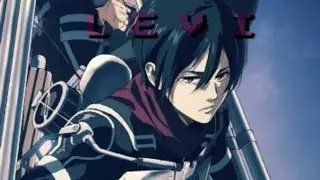 Levi brabo D+