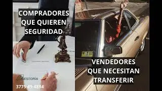 TODOS LOS TR&Aacute;MITES ANTE EL REGISTRO AUTOMOTOR
