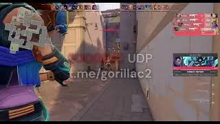 GORILLA BOTNET L4 SHOWCASE | BEST BOTNET 2025 | BUY IP STRESS | BUY DDOS | BEST BYPASS | DNS SUBNET