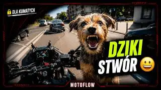 Sprawunki, Sprawunki | Dlaczego psy szczekają na motory? | Cierpliwość na parkingu.