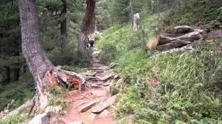 Val da Camp