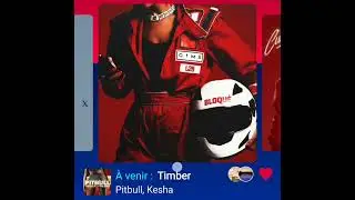Pilbull, Kesha Timber (Version Skyrock)