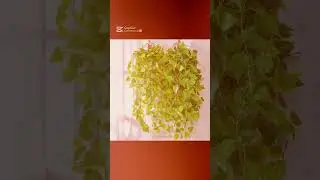 🍃 Transform Your Space with Lush Greenery! 🌿 #youtubeshorts #diamond  #wallart