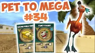 Wizard101: BLIND Pet to Mega #34