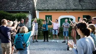 Half-Day Etyek Wine Region Tasting and Tour with Dinner near Budapest