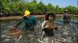 The river suddenly ran dry—we caught plenty of fish and prepared delicious meals for our smal family