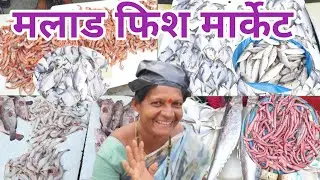 Malad Fish Market mumbai |🇮🇳🐟Wholesale and Retail Fish Market , Mumbai Tour Walk and Drive 