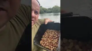 Билет на ловлю карпа на озерах Фарлоуз &mdash; лучший совет