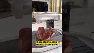 Food preservation thawer