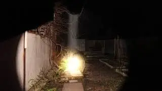 Convoy C8+ Nichia 219C light test