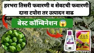 हरभरा शेवटची फवारणी कोणती करावी |Harbhara shevtchi Favarni konti karavi#हरभरा #farming #agricultural