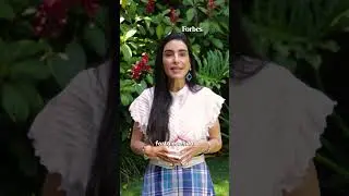 Coluna Carmen Perez