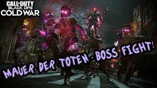 COD Cold War Zombies - Mauer Der Toten Funny Moments & Boss Fight
