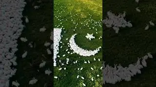 Rabbits Create Pakistani Flag i &ndash; Drone Cinematic Shot #pakistan #terding #verlvideo #foryou
