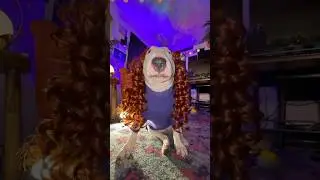 Do I look like a boy papa 👹#dogs #meme #funny #pets #cute #papa #shorts