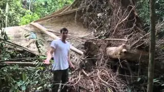 Adam Thorn Presents: The Tale of the Tapir (full-length documentary)