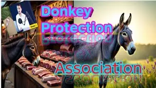 Donkey Protection 🛡️ Association Matric Failed Students Are Eligible For Job