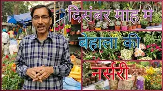 December Behala Manton Nursery Visit / दिसंबर माह मे बेहाला मंटोन नर्सरी विजिट